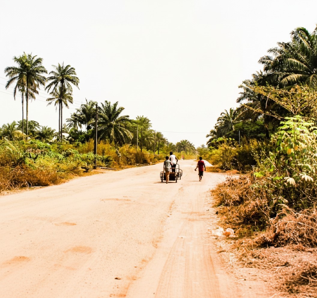 Rural road with palm trees